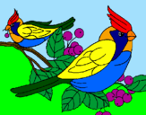 Desenho Pássaros pintado por luizinho