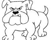 Desenho Cão Bulldog pintado por Thor