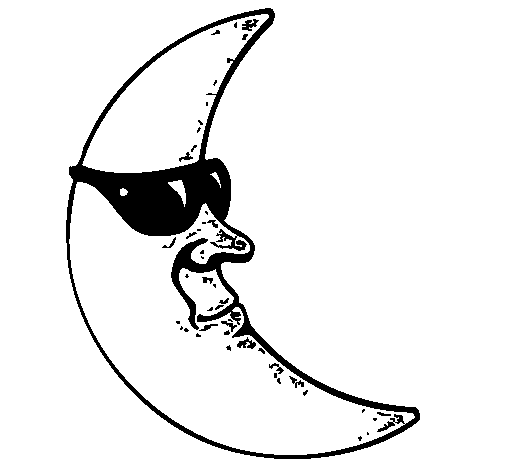 Lua com óculos de sol