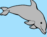 Desenho Golfinho contente pintado por Milinha