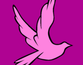 Desenho Pomba da paz a voar pintado por ISABELLE