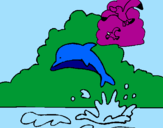 Desenho Golfinho e gaviota pintado por carolna  rosário  lopes