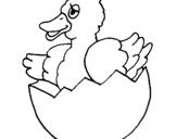 Desenho Patito na casca de ovo pintado por angelita
