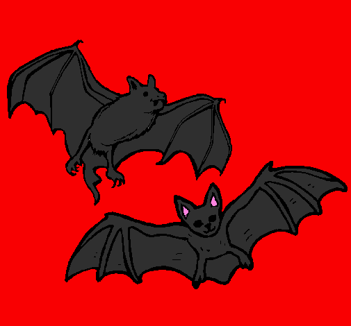 Desenho Um par de morcegos pintado por carla