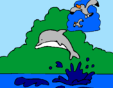 Desenho Golfinho e gaviota pintado por João Pedro