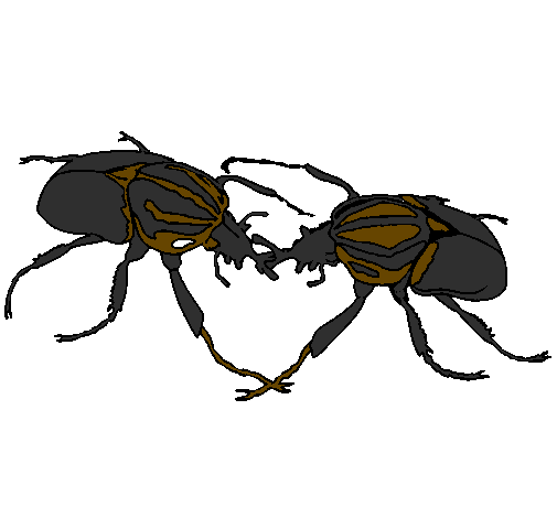 Desenho Escaravelhos pintado por silas