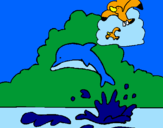 Desenho Golfinho e gaviota pintado por uiiu