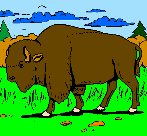 Desenho Búfalo pintado por touro