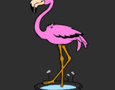 Desenho Flamingo com os pés de molho pintado por aline