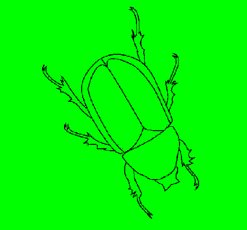 Desenho Escaravelho pintado por gabriel