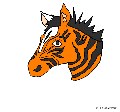 Desenho Zebra II pintado por mutam[