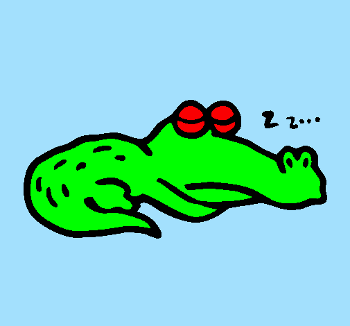 Crocodilo a dormir