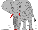 Desenho Elefante pintado por pablo