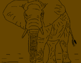 Desenho Elefante pintado por leandro cesar
