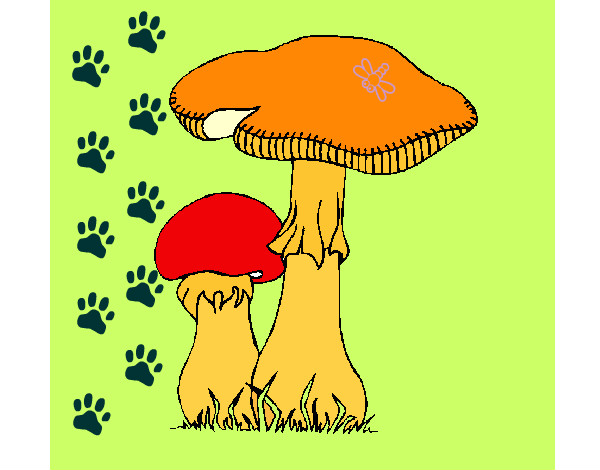 Desenho Cogumelos pintado por carol