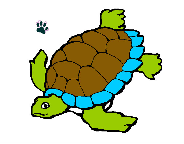 tartaruga lestatica