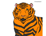 Desenho Tigre pintado por nela
