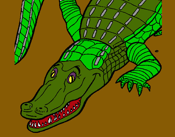 Desenho Crocodilo  pintado por Erikol