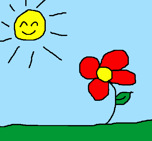 Sol e Flor 2