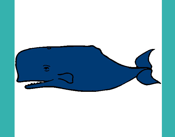 Desenho Baleia azul pintado por Laila