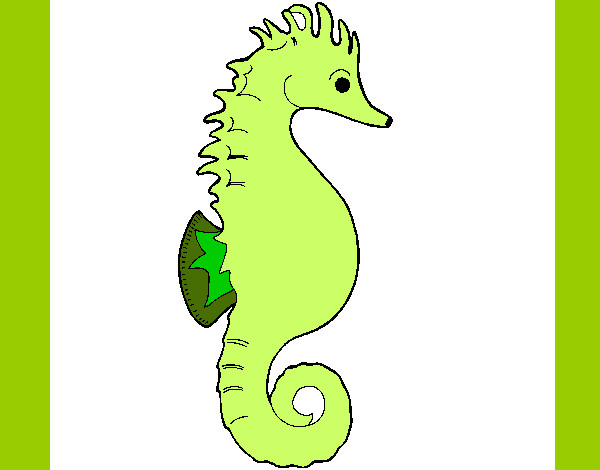Desenho de Cavalo-marinho verde pintado e colorido por Laila o dia