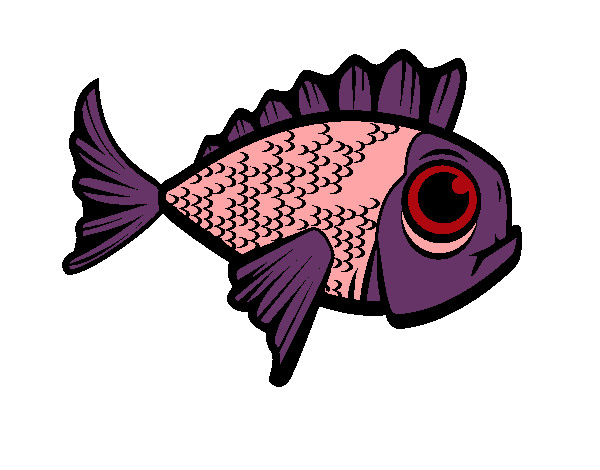 Peixe rosa