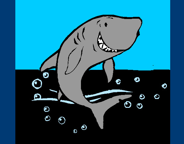 Desenho Tubarão pintado por Laila