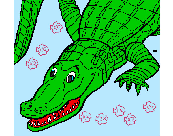 Desenho Crocodilo  pintado por Soso