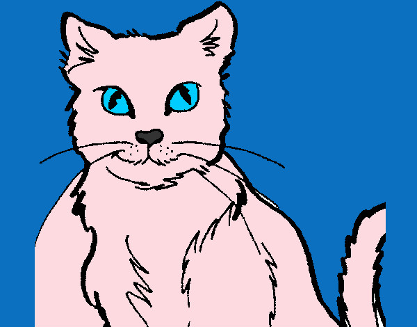 Desenho Gato pintado por Barbaraa
