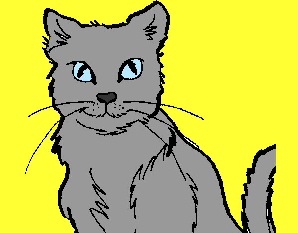 Desenho Gato pintado por Soso
