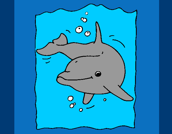 Desenho Golfinho pintado por Soso