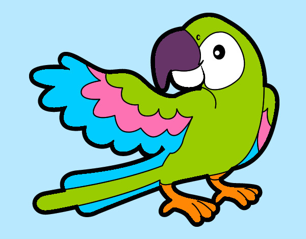 Desenho Papagaio abrir a asa pintado por Maluka