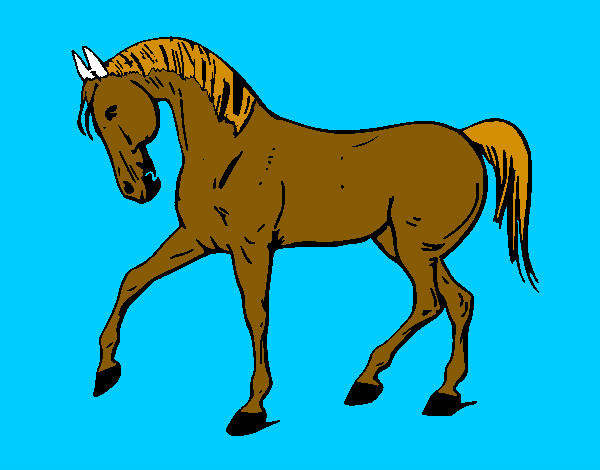 Desenho Cavalo com a pata levantada pintado por jorjor