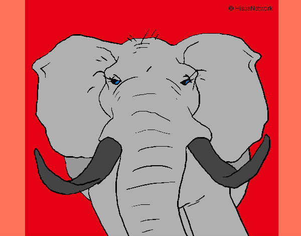 Desenho Elefante africano pintado por davi1315 