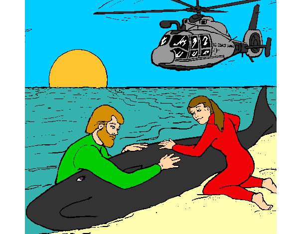 Desenho Resgate baleia pintado por caiobrumel