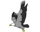 Desenho Águia a voar pintado por Ghbit
