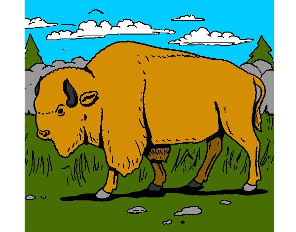 Desenho Búfalo pintado por Ghbit