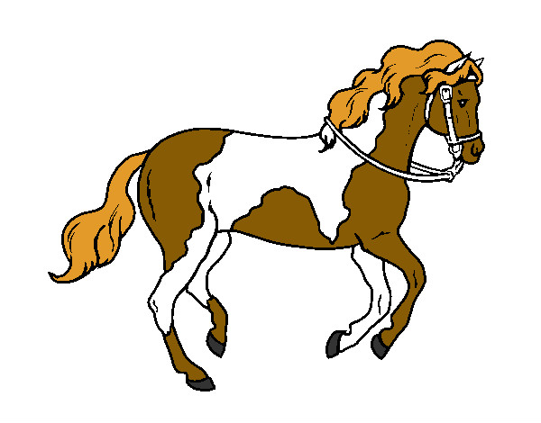 Desenho Cavalo 5 pintado por bubu1233