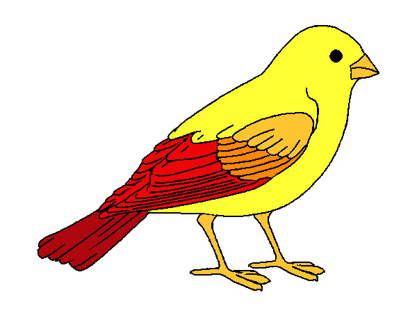 the little yellow bird