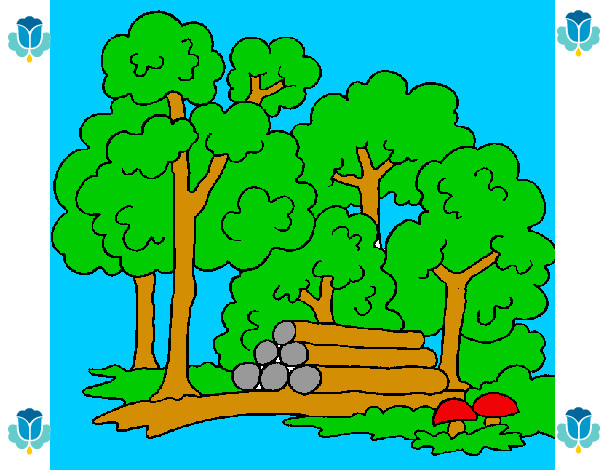 Desenho Bosque pintado por laura