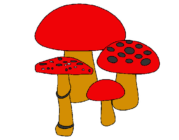 Desenho de cogumelos pintado e colorido por Laura o dia 08 de Fevereiro do  2012