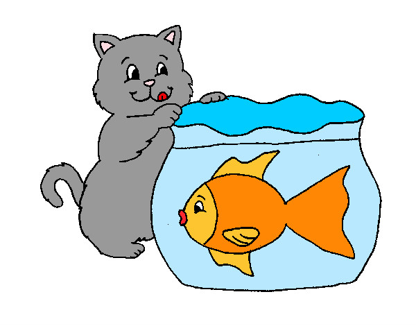 Desenho Gato e peixe pintado por giovandro