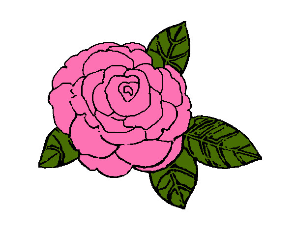 Desenho Rosa pintado por wanessa