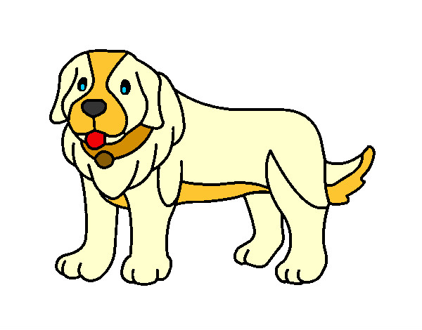 cão Bilou