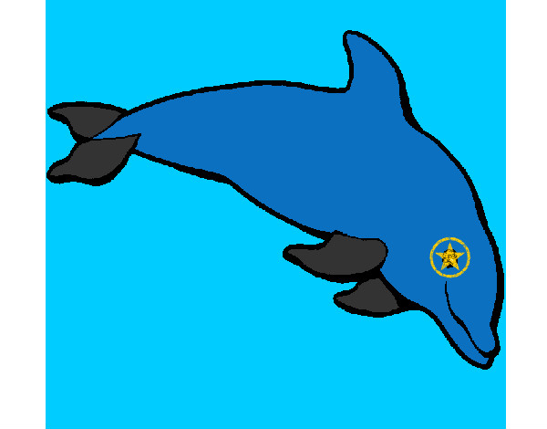Desenho Golfinho contente pintado por Matheus_MS
