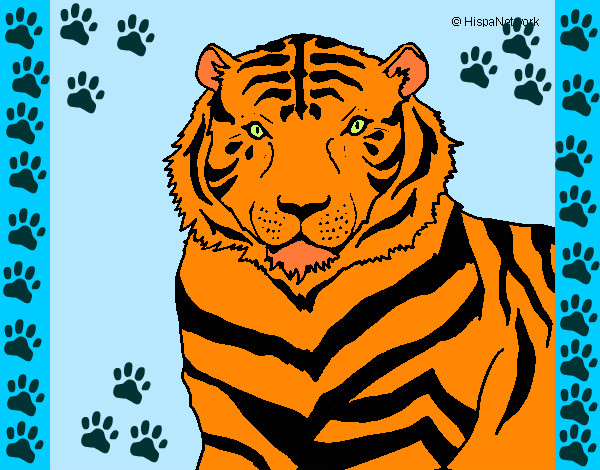 Desenho Tigre pintado por nayarinha