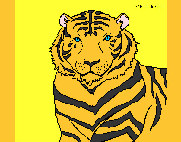 Desenho Tigre pintado por poppet