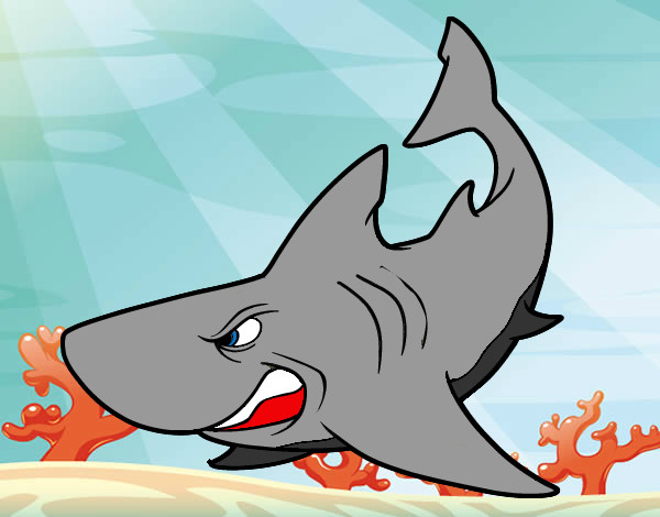 Desenho Tubarão furioso pintado por lorrane