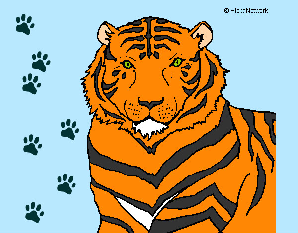 Desenho Tigre pintado por fabiana