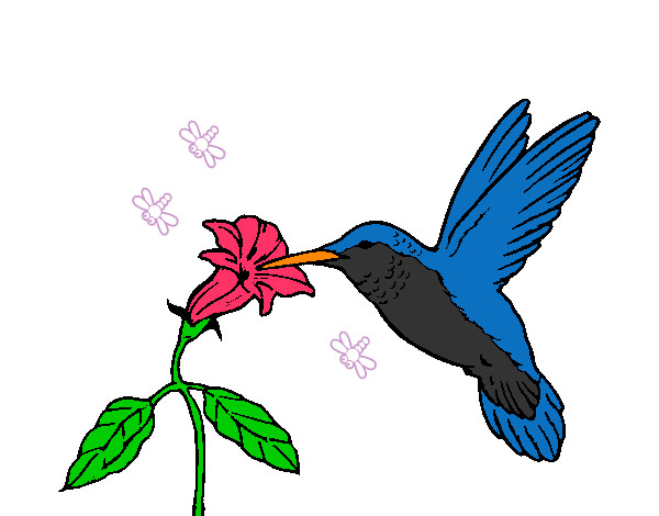 Desenho Colibri e uma flor pintado por luluzinha